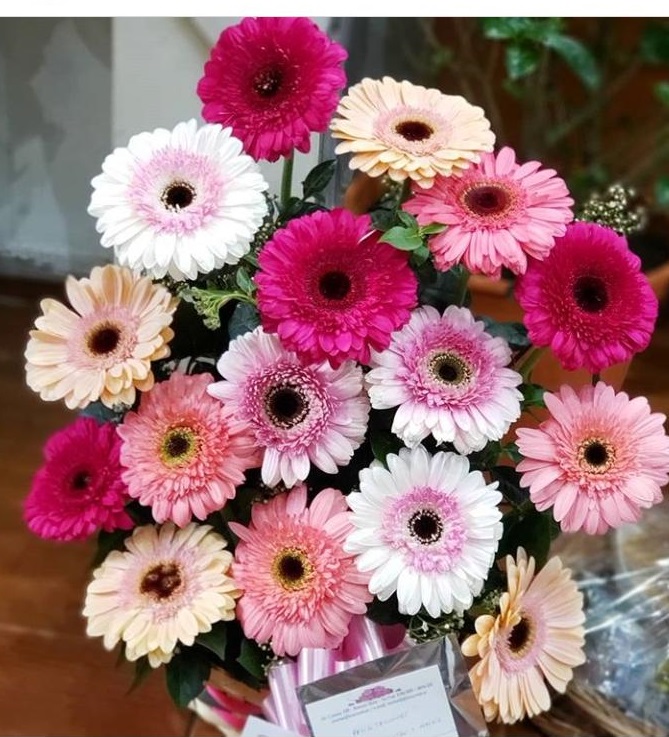 Foto de Canasta Premium Gerberas 